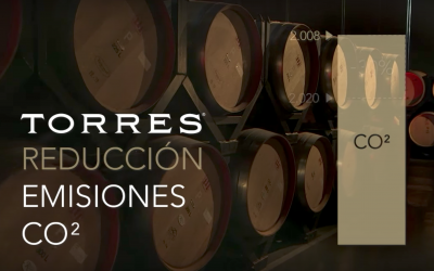 La falta de ayudas a las empresas para reducir emisiones: El caso de Bodegas Torres
