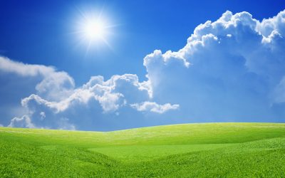 Energías renovables y eficiencia energética, encargadas de la descarbonización