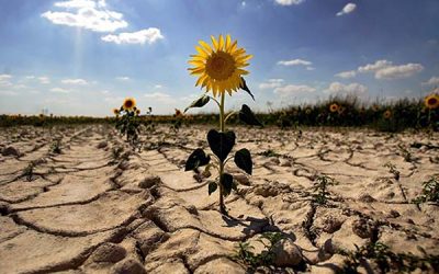 Andalucía se prepara para su ley de cambio climático
