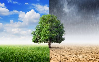 La Agencia Europea de Medio ambiente desvela el coste monetario del cambio climático en Europa