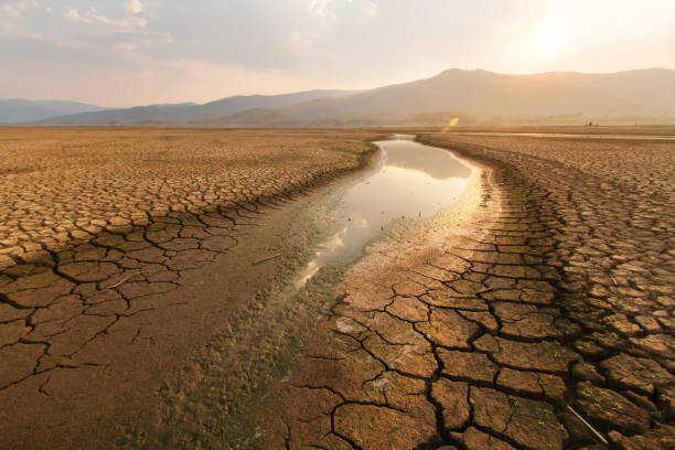 ¿Cómo afecta el cambio climático a los ríos?