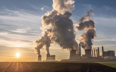 ¿Cómo afecta el cambio climático al valor nutricional de las plantas?