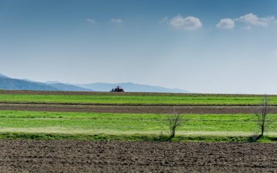 La reubicación de tierras de cultivo podría reducir de forma significativa la huella de carbono de la sociedad