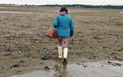 El sur de Europa está más preocupado por el cambio climático que por la guerra de Ucraina