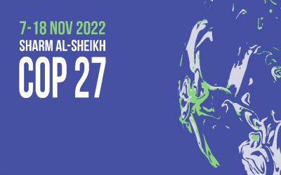 ¿Qué se espera de la COP27 de Egipto?