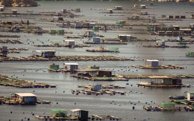 La pujada del nivell del mar, provocada pel canvi climàtic, ja inunda barris de ciutats costaneres