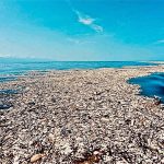 Què són les illes de plàstic i per què contribueixen al canvi climàtic?