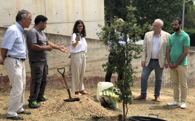 Plataforma ZEO participa en un acto de homenaje a los árboles en Bellaterra