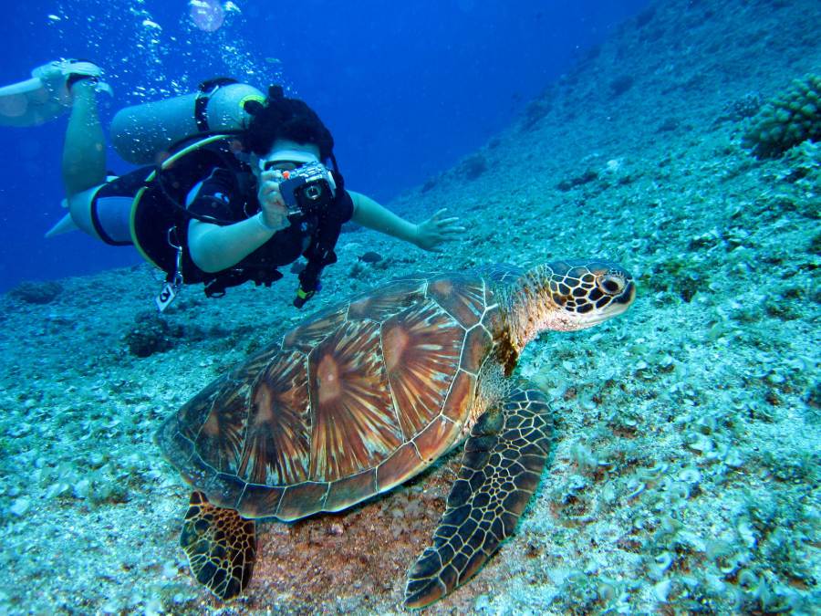 Buceo Sostenible