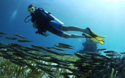 Buceo Sostenible: Cómo Disfrutar de los Océanos sin Dañarlos