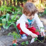 Huertos escolares: Educando a la generación de defensores del planeta