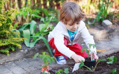 Huertos escolares: Educando a la generación de defensores del planeta