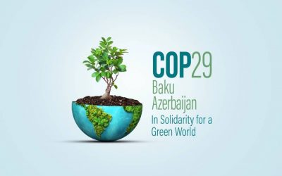 La COP29: ¿Avances o solo palabrería?