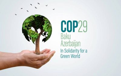 La COP29 en Bakú: Conclusiones y Pasos Hacia un Futuro Sostenible