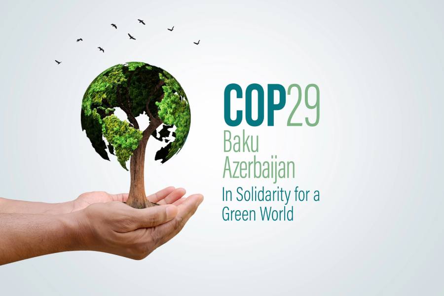 La COP29 a Bakú: Conclusions i Passos Cap a un Futur Sostenible