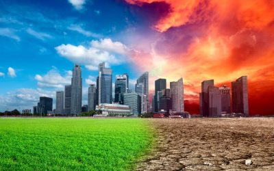 2024: El año en que el cambio climático nos golpeó con fuerza