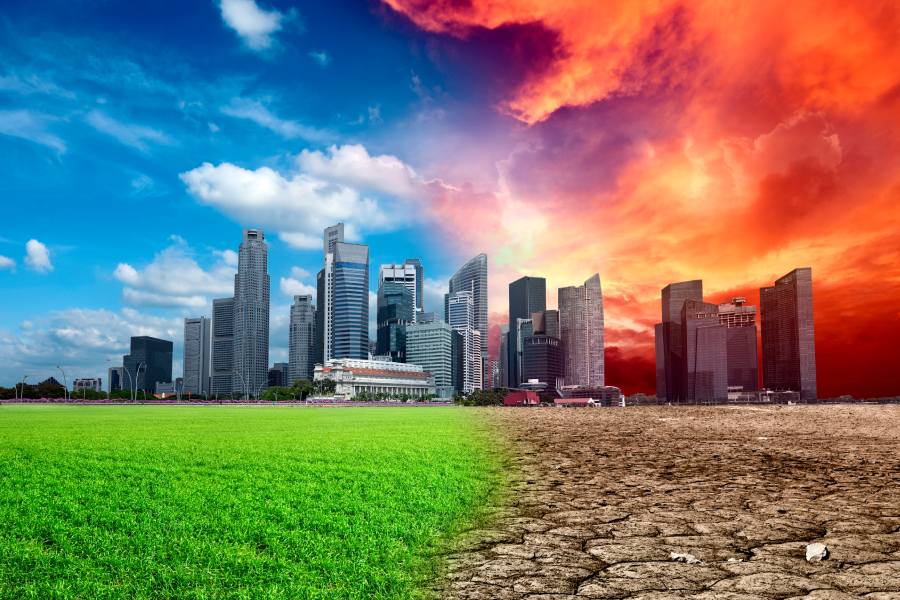 2024: L’any en què el canvi climàtic ens va colpejar amb força