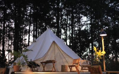 El glamping: cuando el lujo se encuentra con la naturaleza