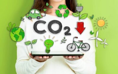 Innovando por un Futuro Más Verde: Iniciativas Empresariales para Reducir las Emisiones de CO2