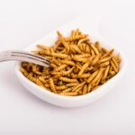 Insectos como alimento: una solución sostenible para la seguridad alimentaria comer insectos