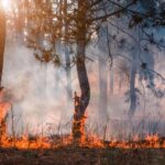 incendios verano