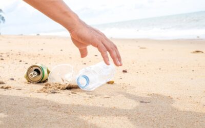 ¿Cómo disfrutar de la playa o la montaña sin dejar residuos?