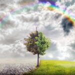 cambio climatico y aumento ozono
