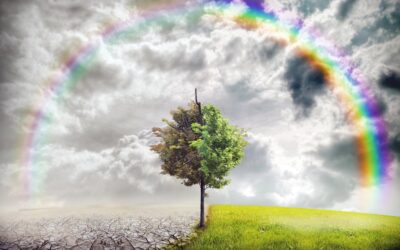 Cambio climático y el aumento de ozono troposférico: una relación que no podemos ignorar