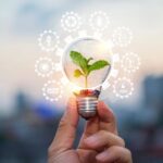 descarbonización proyectos innovadores3