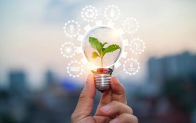Fira CONAMA Local 2025: Innovacions i projectes que impulsen la descarbonitzaci
