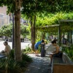 Refugios climáticos urbanos: qué son, dónde encontrarlos y por qué son esenciales en las ciudades refugios climáticos-